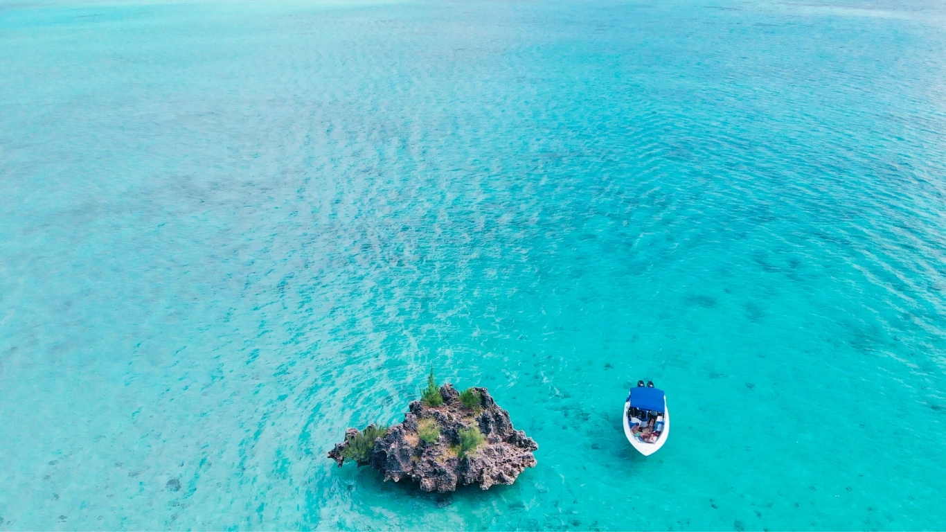 Nager baleine île Maurice